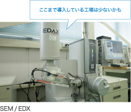 SEM/EDX
